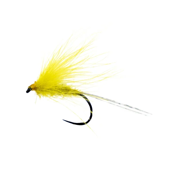 sportfishtackle202606040119572578592