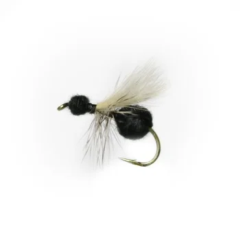 sportfishtackle202606040120162578654