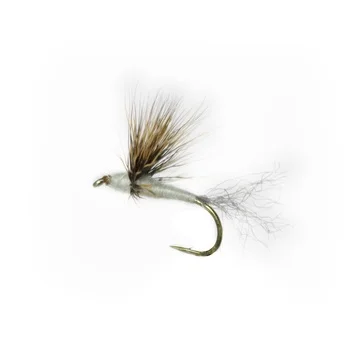sportfishtackle202606040120242578682