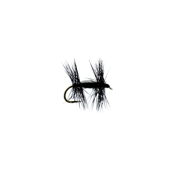 sportfishtackle202606040120502578786