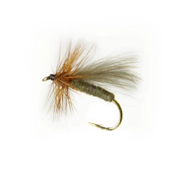 sportfishtackle202606040120542578805