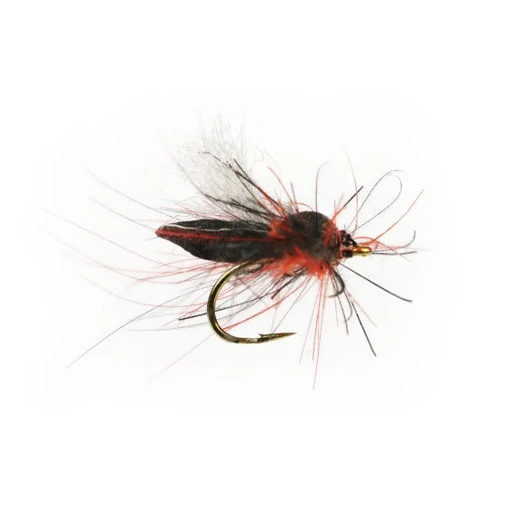 sportfishtackle202606040121542579047