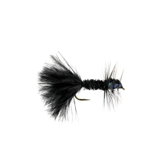 sportfishtackle202606040122382579228