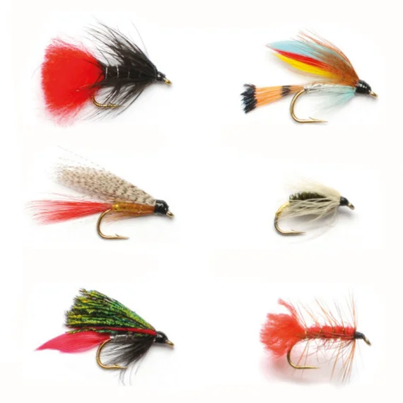 sportfishtackle202606040126112580097