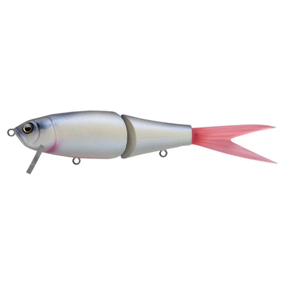 sportfishtackle202606040127032580324