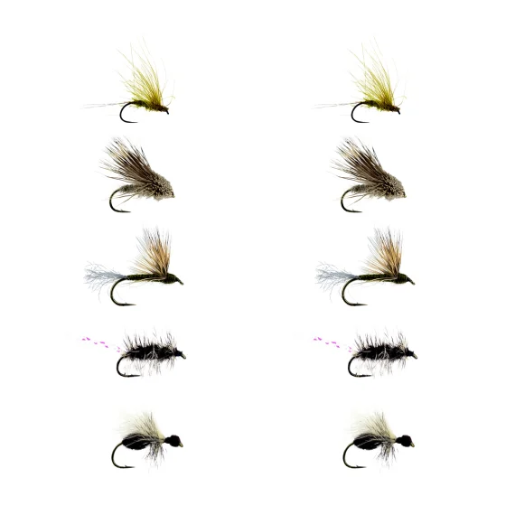sportfishtackle202606040127182580394
