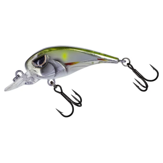 sportfishtackle202606040129332580986