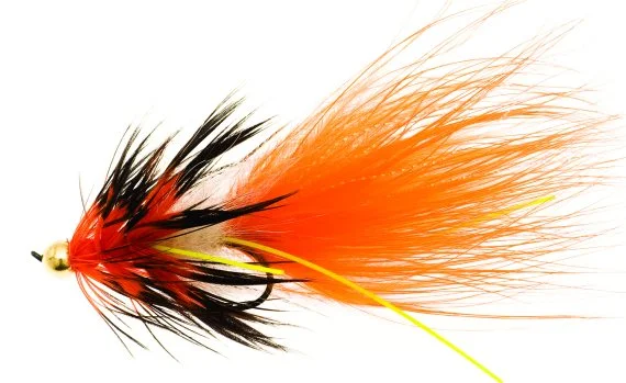 sportfishtackle202606040134282582260
