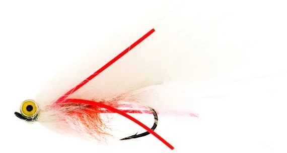 sportfishtackle202606040134362582293