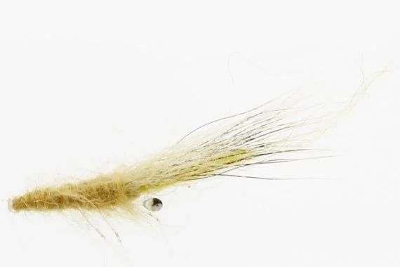 sportfishtackle202606040135062582431