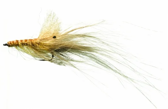sportfishtackle202606040135452582596