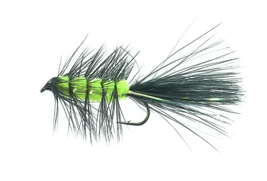 sportfishtackle202606040135522582634