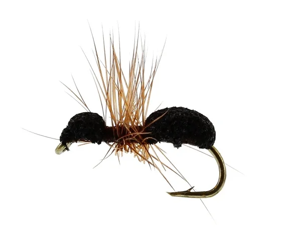 sportfishtackle202606040137102582971