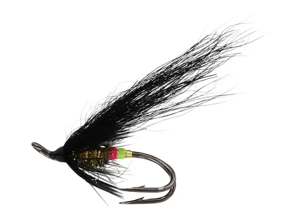 sportfishtackle202606040138342583334