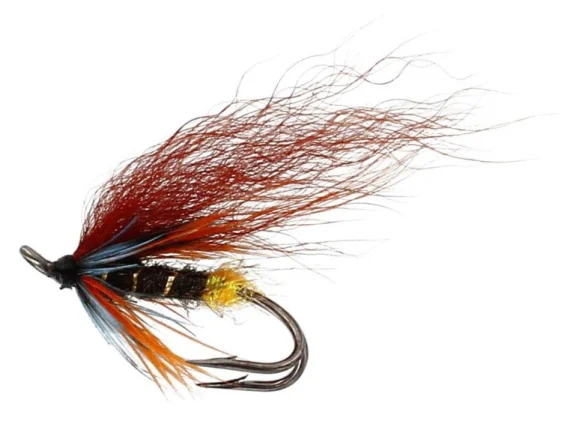 sportfishtackle202606040138572583434
