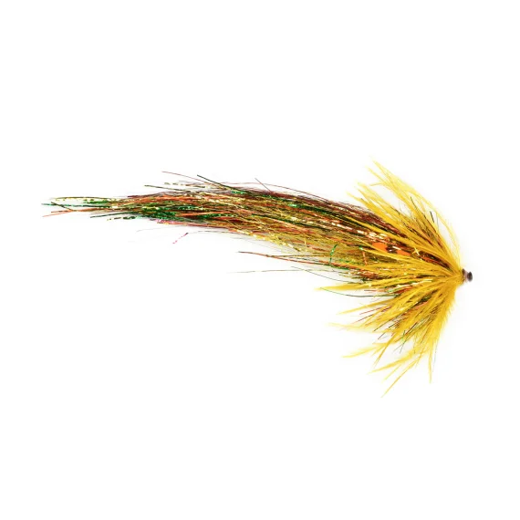 sportfishtackle202606040144252584790