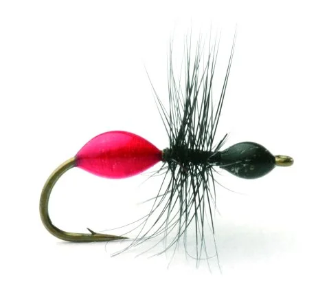 sportfishtackle202606040150372586331