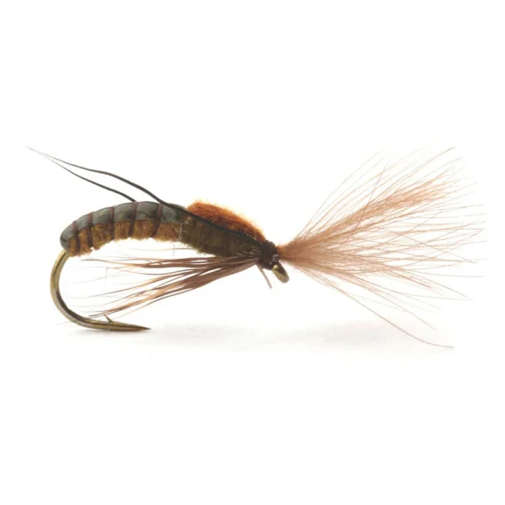 sportfishtackle202606040150502586392
