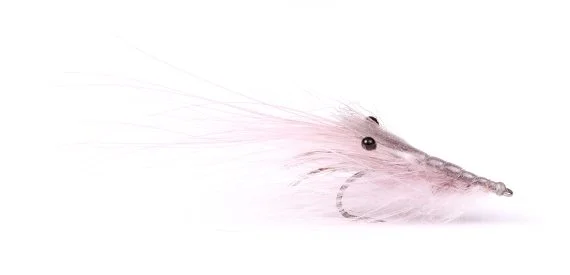 sportfishtackle202606040151012586442