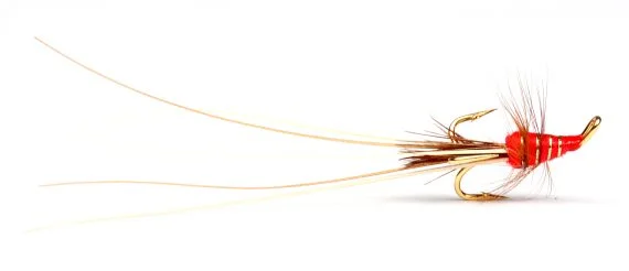 sportfishtackle202606040151052586458