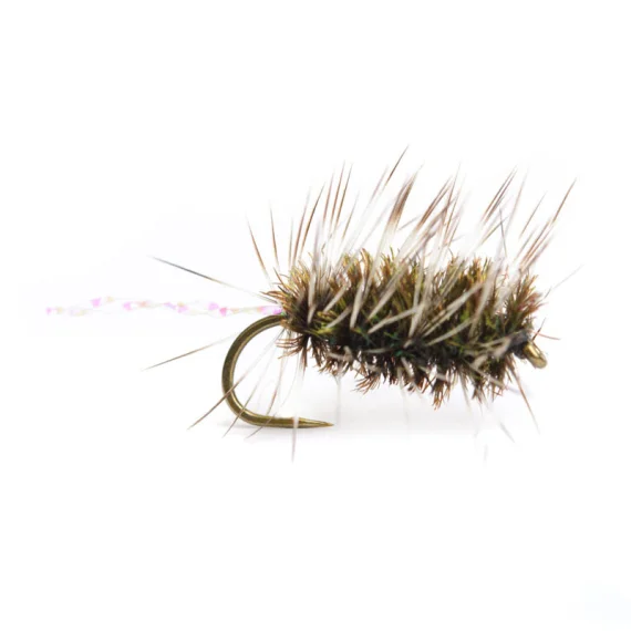 sportfishtackle202606040205022590045