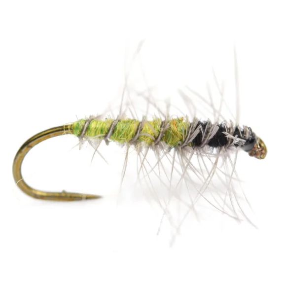 sportfishtackle202606040205052590059