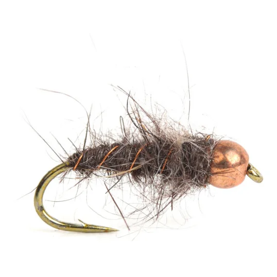 sportfishtackle202606040205312590172