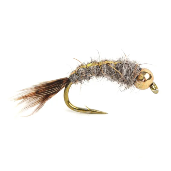 sportfishtackle202606040205352590185
