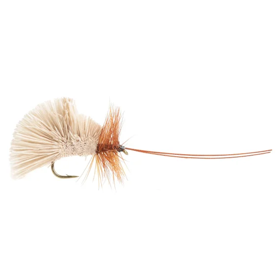 sportfishtackle202606040206042590318