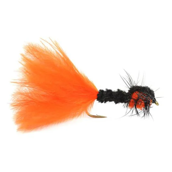 sportfishtackle202606040206412590481