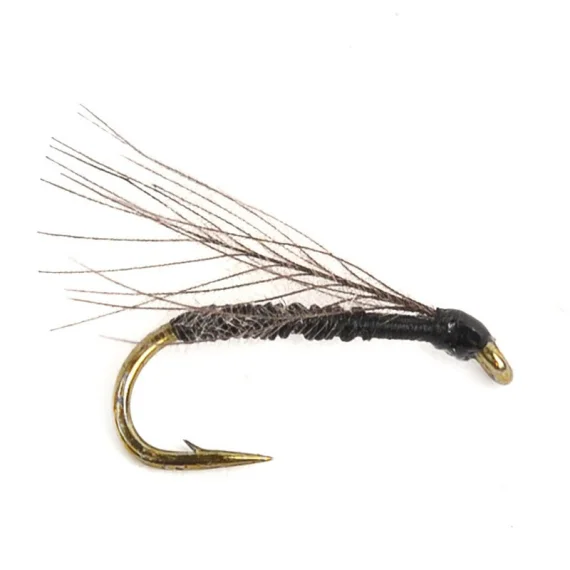 sportfishtackle202606040207232590653