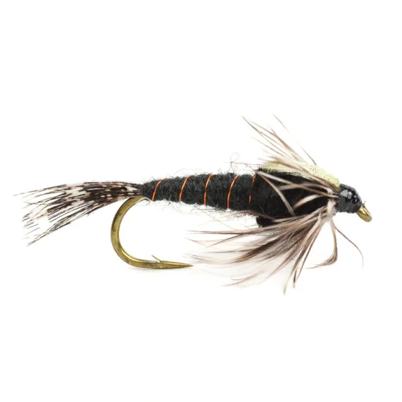 sportfishtackle202606040207382590713