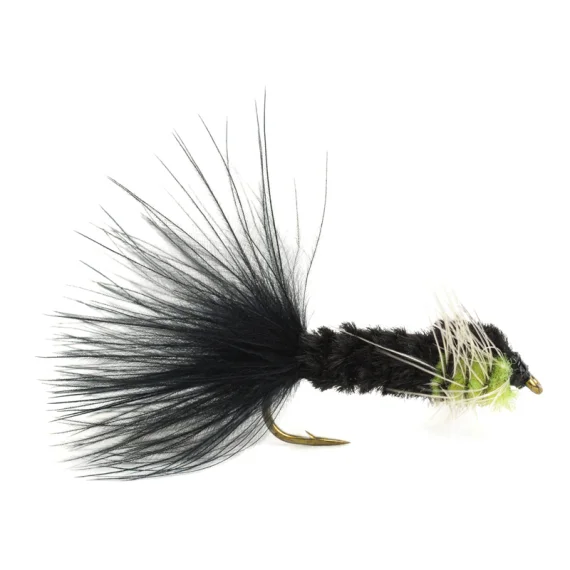 sportfishtackle202606040207532590774