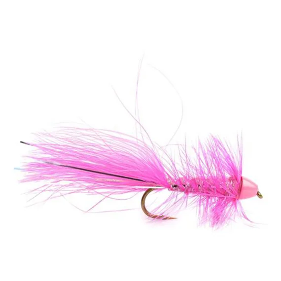 sportfishtackle202606040208242590906