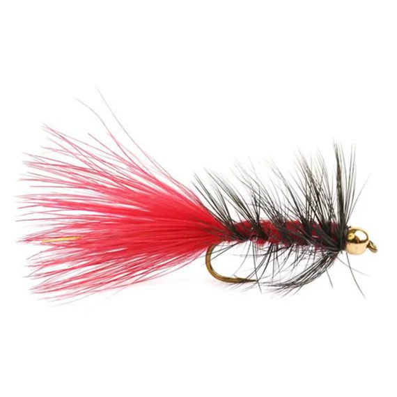 sportfishtackle202606040208282590920