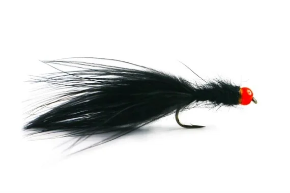 sportfishtackle202606040208342590944
