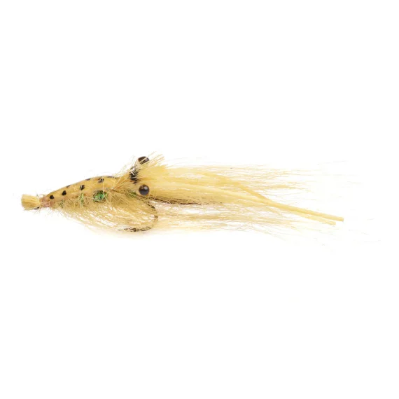 sportfishtackle202606040209592591313
