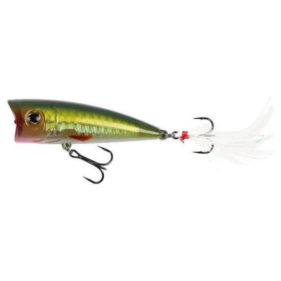 sportfishtackle202606040215512592790