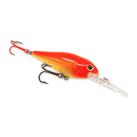 sportfishtackle202606040232482597112