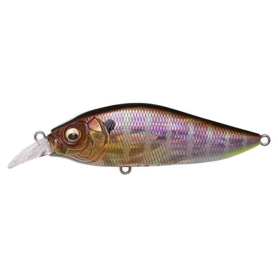sportfishtackle202606040252412602264
