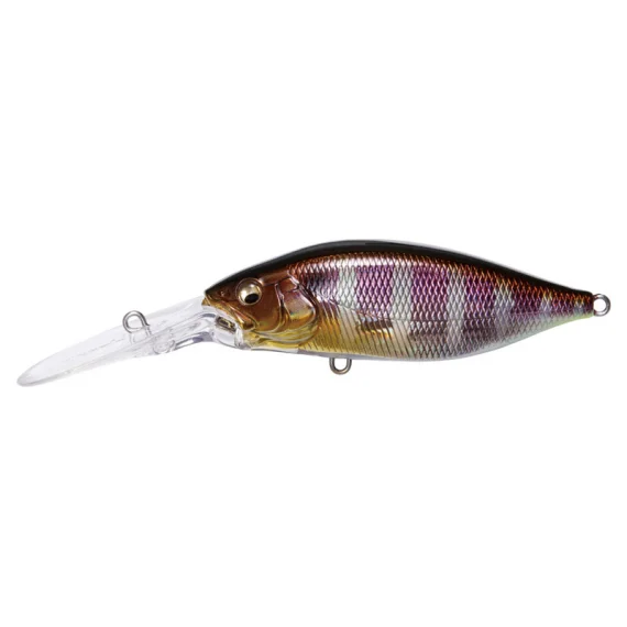 sportfishtackle202606040252422602267