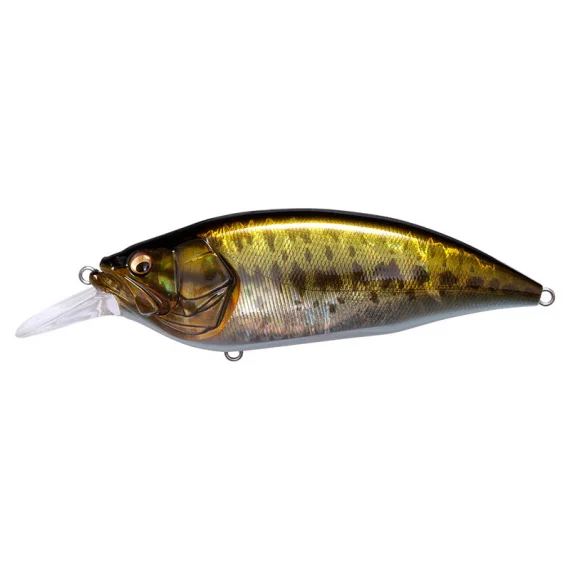 sportfishtackle202606040252452602280