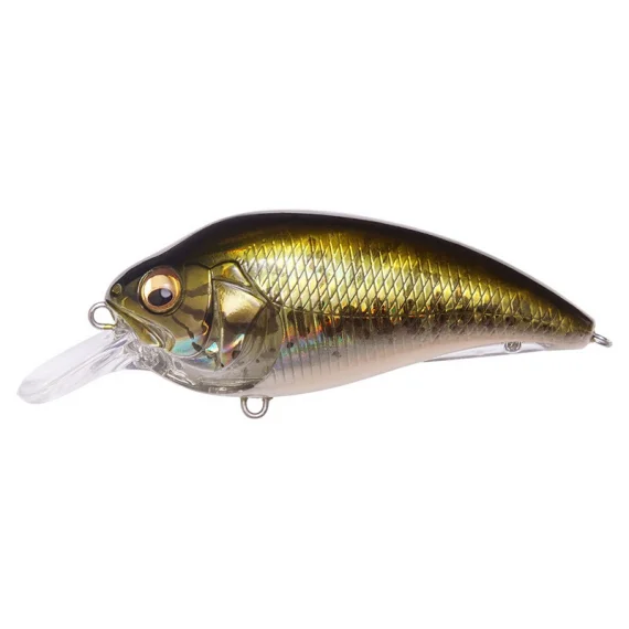sportfishtackle202606040253042602363