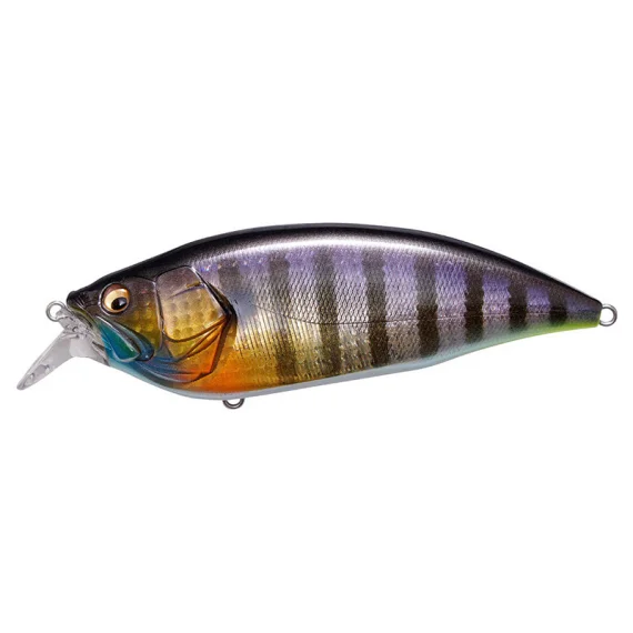sportfishtackle202606040253132602402