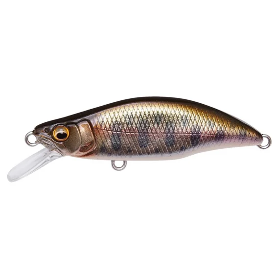 sportfishtackle202606040253412602516