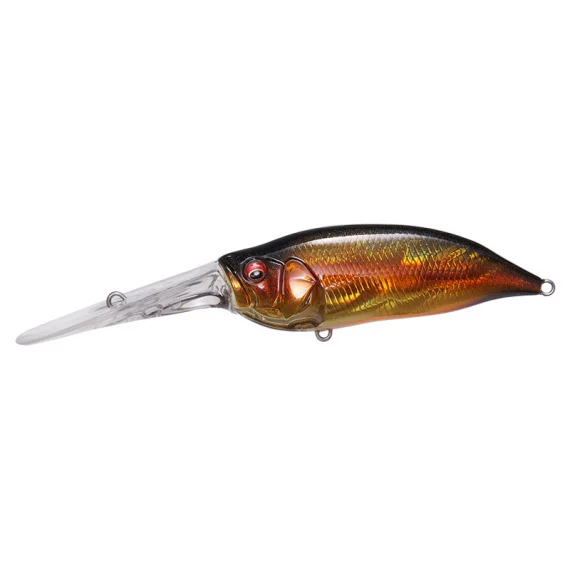 sportfishtackle202606040253482602547