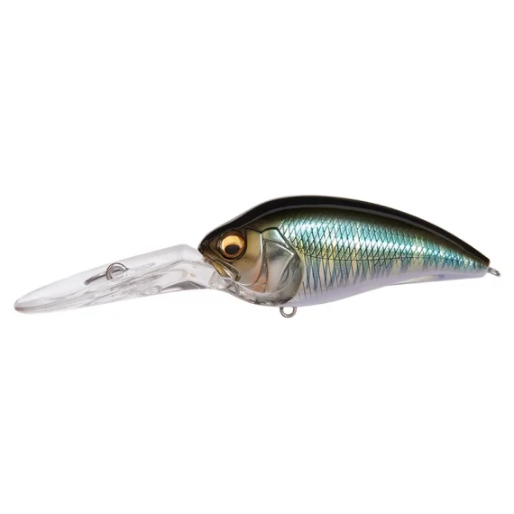 sportfishtackle202606040253562602587
