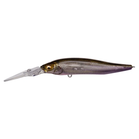 sportfishtackle202606040254052602624