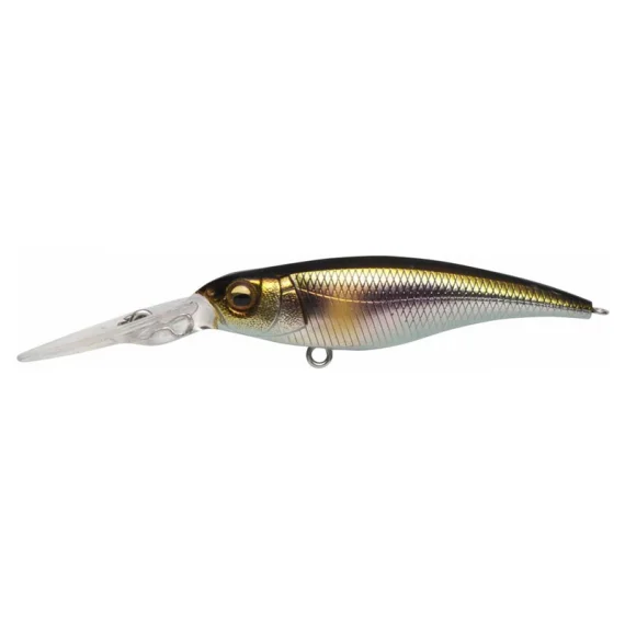 sportfishtackle202606040254592602819