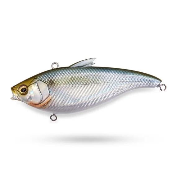 sportfishtackle202606040255302602903